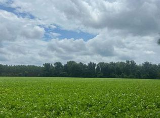 Puddin Swamp Rd, Turbeville, SC 29162