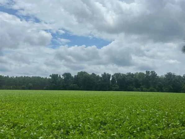 Puddin Swamp Rd, Turbeville, SC 29162