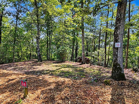 2nd image of 11 Brasstown
