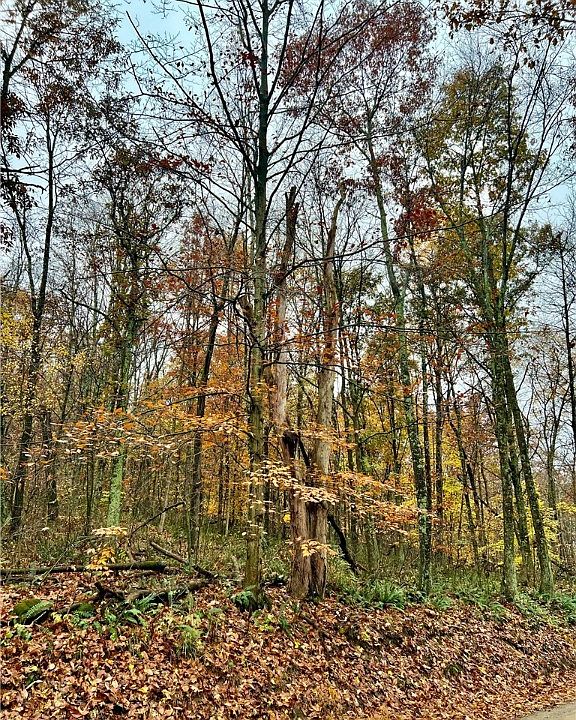 1st image of Township Road 13