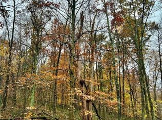 Township Road 13, Killbuck, OH 44637