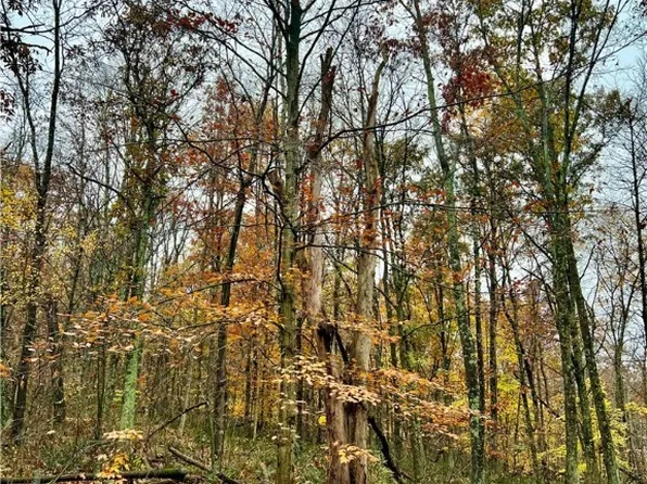 Township Road 13, Killbuck, OH 44637