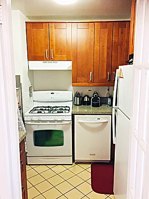 Rented by Manhattan Flats | media 15