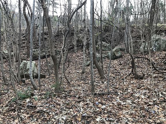 4th image of 0 Sewanee Hwy
