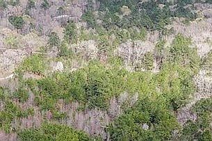 5th image of 575 James Oates Rd