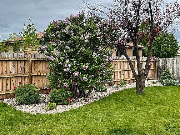 Fenced Backyard