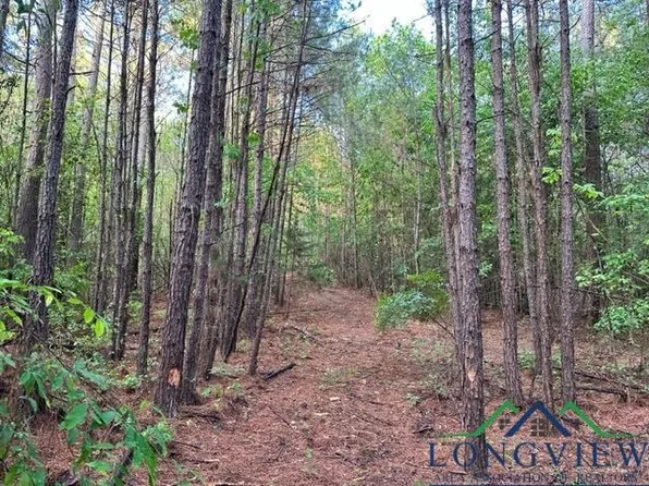 6145 Private Road 2234, Gilmer, TX 75645