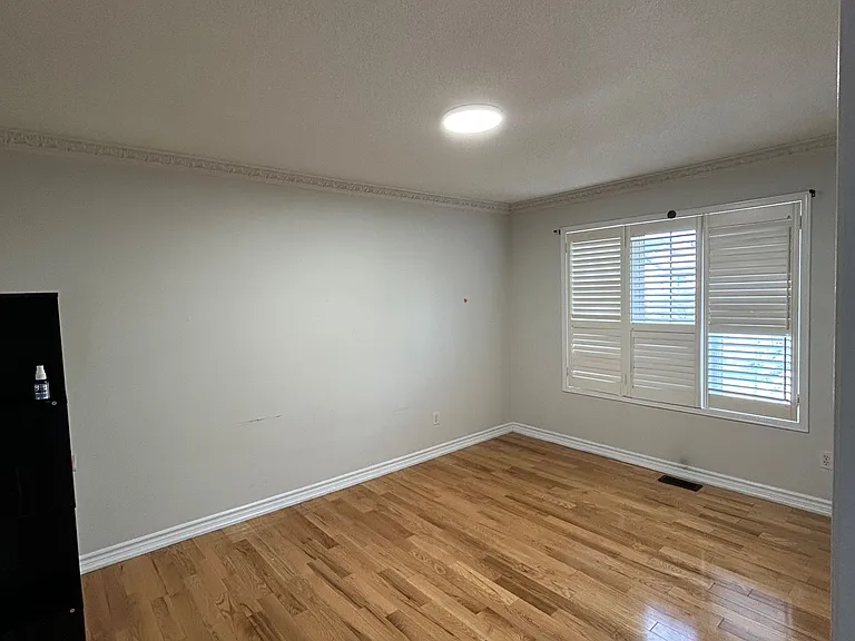 52 Treasure Dr — Photo 13