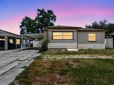 3007 W Aileen St, Tampa, FL, 33607