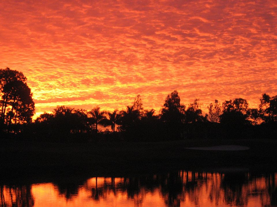 SUNRISE 1
