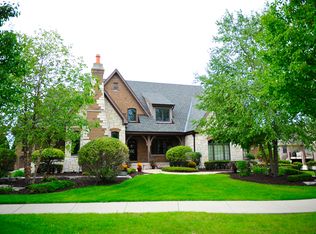 22524 Swanstone Ct, Frankfort, IL 60423