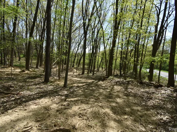 10146 Island Lake Rd, Dexter, MI 48130
