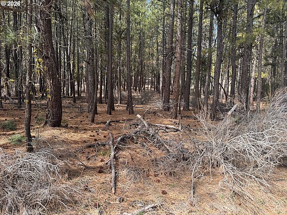 2nd image of Bliss Rd #3610