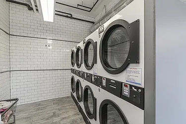 Rented by Area New York