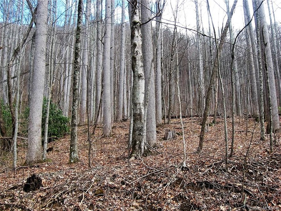 2nd image of 0 Emerald Ln