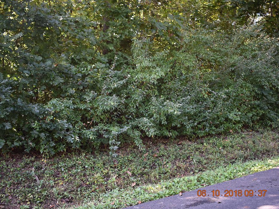 2nd image of Walelu Trl W
