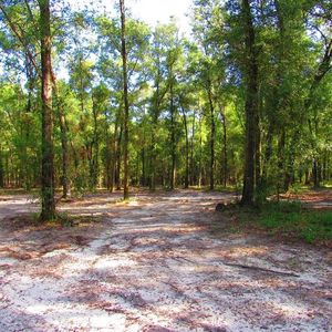 Hidden Woods Rd, Brooksville, FL, 34601