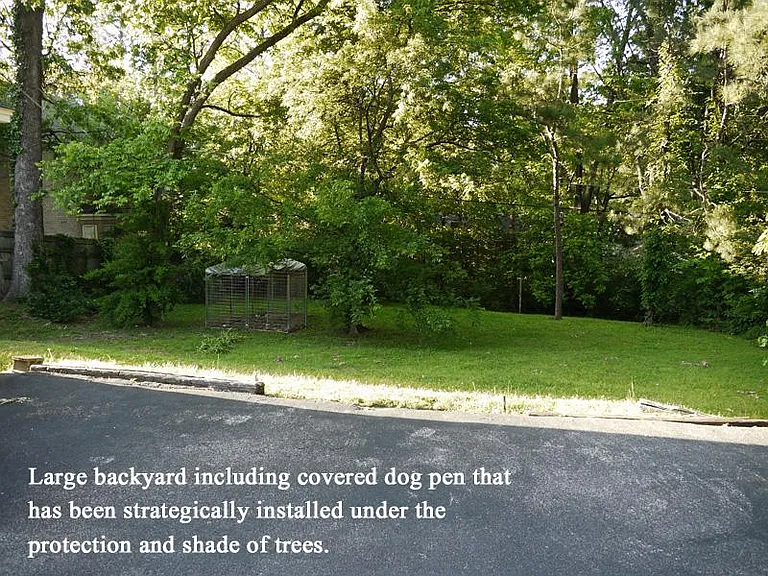 Backyard.