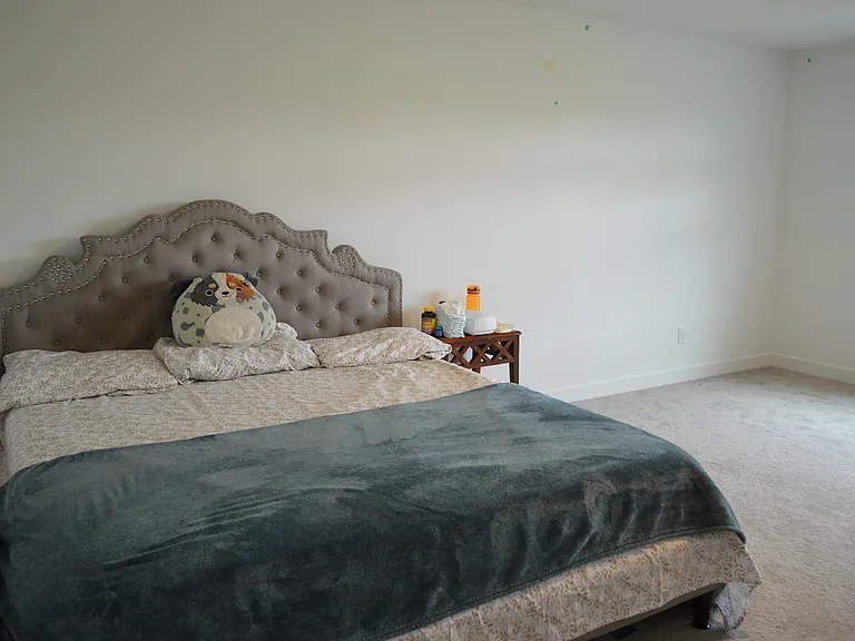 4379 Risen Star Way — Photo 26