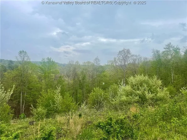 0 Siniaville Rd, Ripley, WV 25271