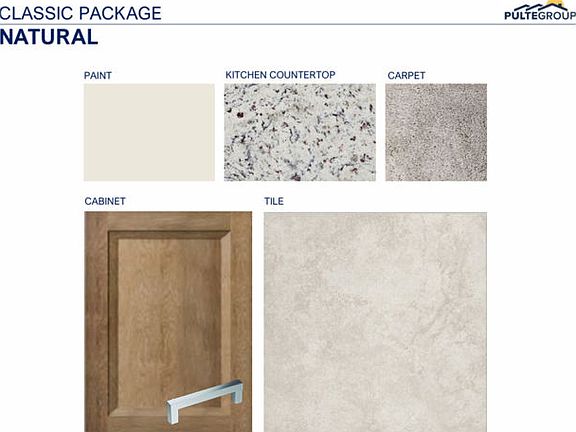 Interior Color Scheme
