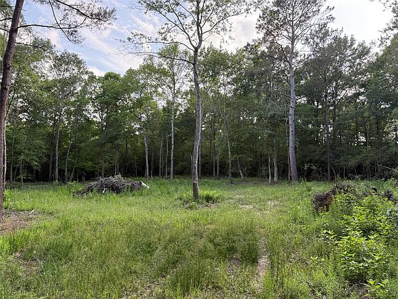 3rd image of E Capps Rd