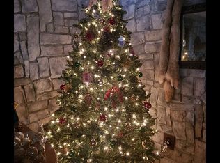 467 Holstein Dr, Taneyville, MO 65759