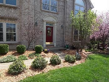 2nd image of 8822 Timberchase Ct