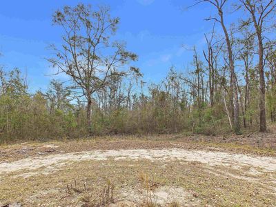 Vacant Ne Bush Way, Madison, FL, 32340