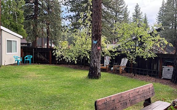 back yard