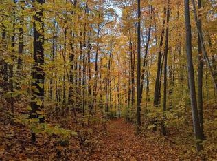 Birch Run Dr, Gaylord, MI 49735