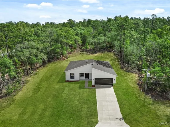 6571 N Bedstrow Blvd, Citrus Springs, FL 34434