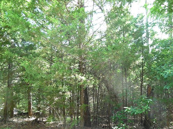 2nd image of 18 Dogwood Dr