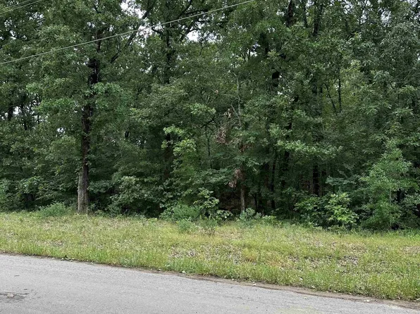 LOT 20 County Road 1660, Alba, TX 75410