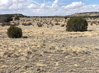 Lots 4&5 Longhorn, Model, CO 81059