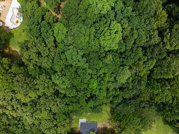 5th image of 119 Willowbrook Dr