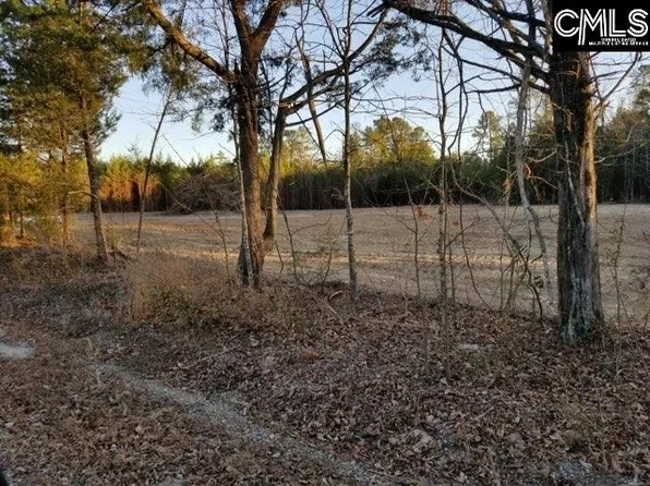 0 Mount Olivet Church Rd, Chapin, SC 29036