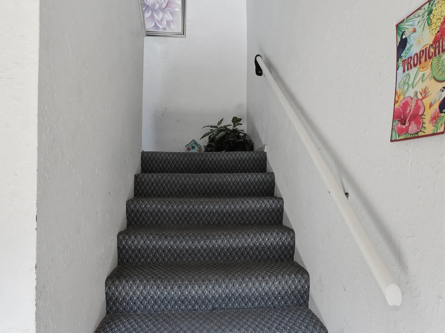 1 bed, 765 sqft, $850 — Photo 3