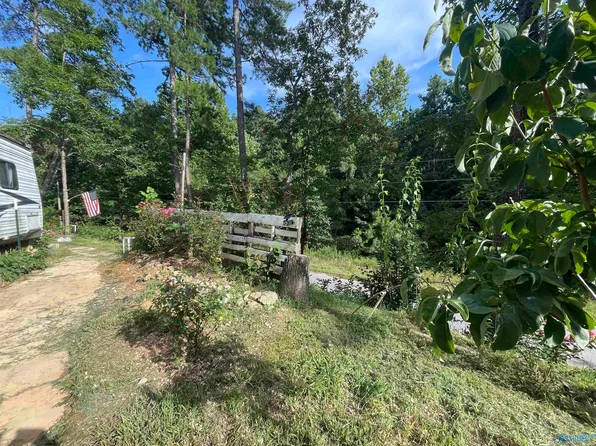 797 Dripping Rock Rd, Piedmont, AL 36272