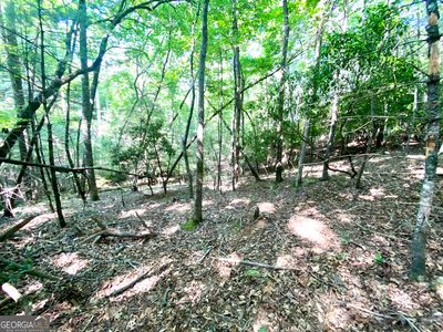Ll322 Warnock Mountain Acres Ln, Blairsville, GA, 30512