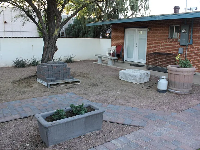 Backyard 04