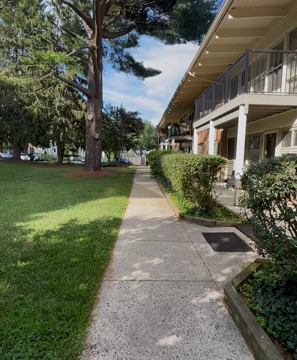 2 bed, 800 sqft, $1,800 — Photo 2