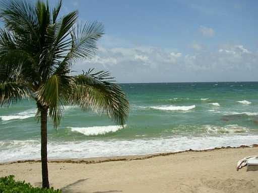 2nd image of 3850 Galt Ocean Dr APT 306