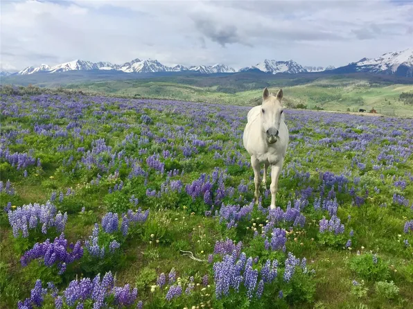 1703 Elk Run Rd, Silverthorne, CO 80498