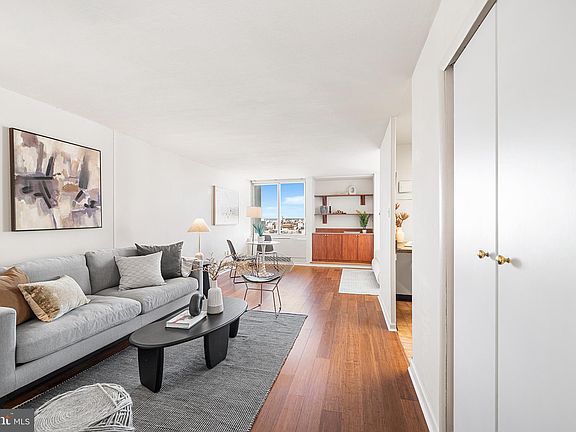 3rd image of 604 S Washington Sq APT 2606