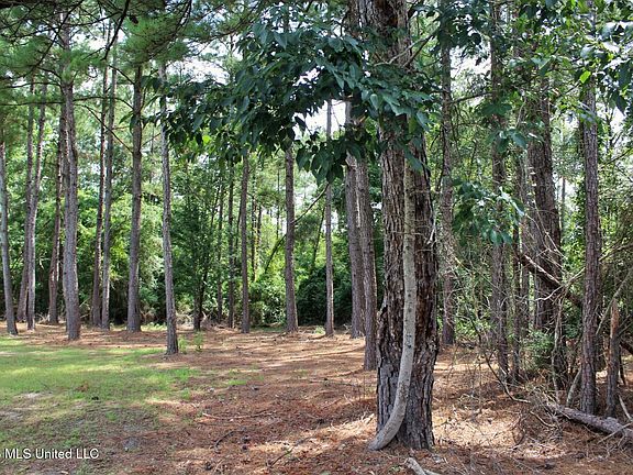 3rd image of 39AC Little Bluff Dr Lot 20