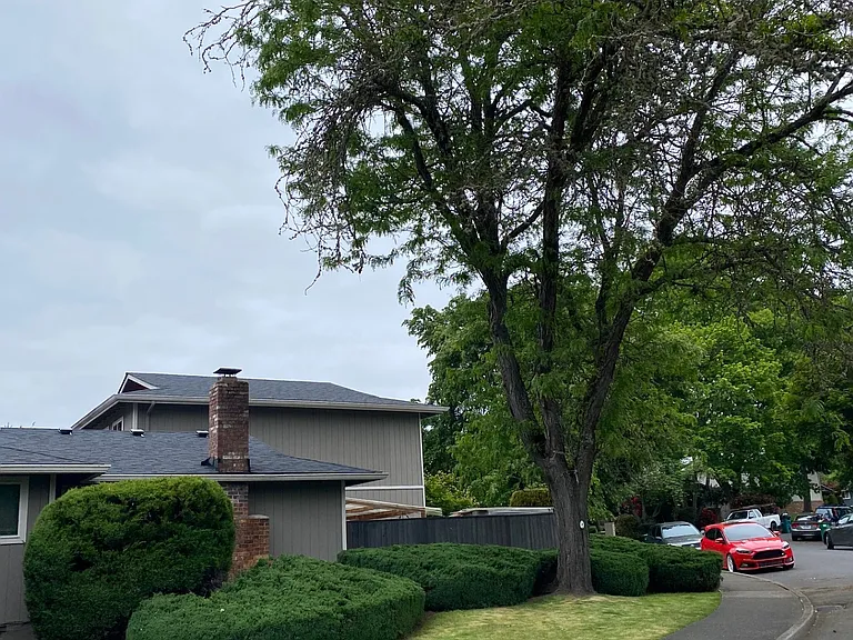 Fourplex exterior
