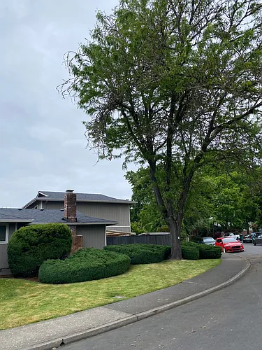 17259 SW Merlo Rd Photo 1