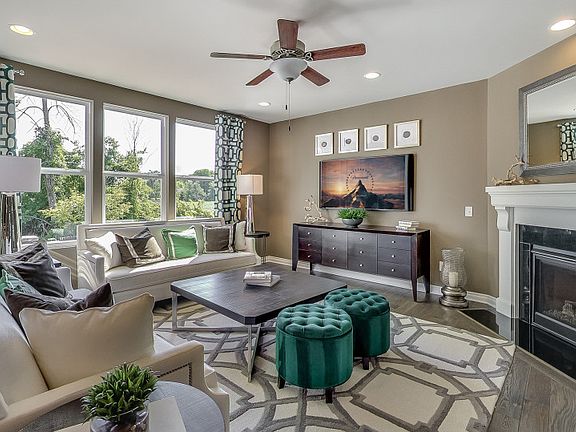 Model Representation