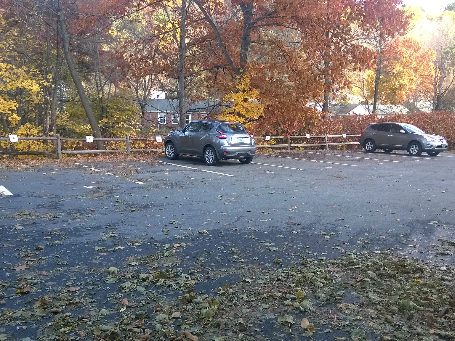 1 bed, 750 sqft, $1,350 — Photo 2